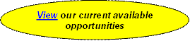 View our current available opportunities